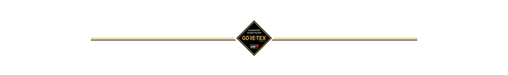 Logo de Gore-Tex